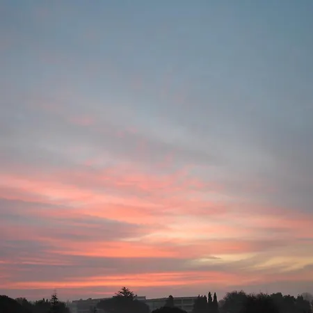 Promenade 3* メドゥリン