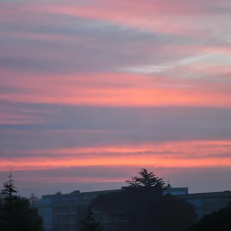 Promenade メドゥリン